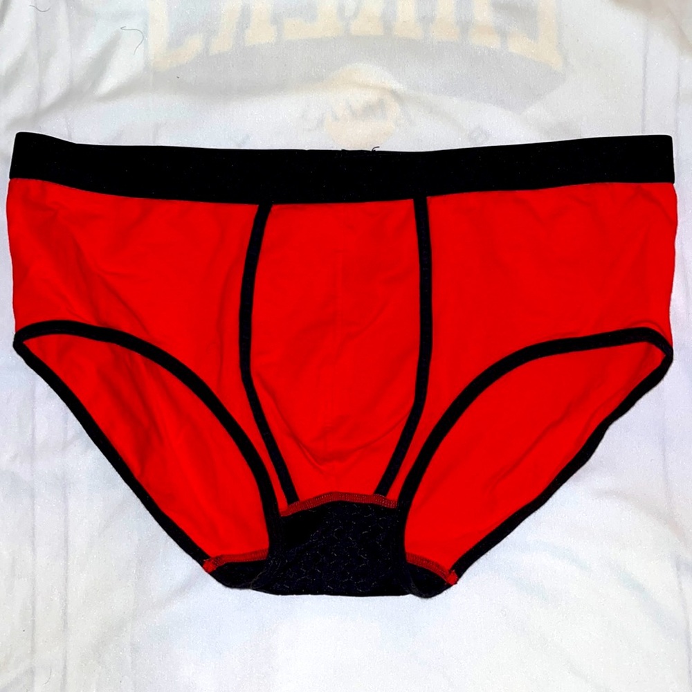 BEAR SKN BRIEFS